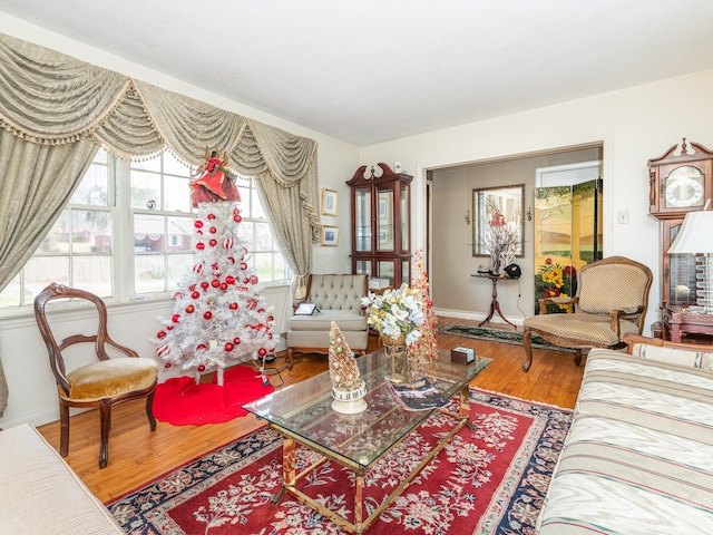 living room featuring hardwood / wood-style flooring