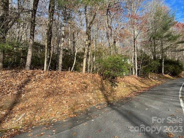 TBD Echota Ln, Brevard NC, 28712 land for sale