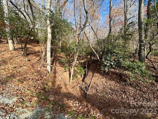 Listing photo 2 for TBD Echota Ln, Brevard NC 28712