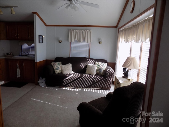 carpeted living room featuring vaulted ceiling, ceiling fan, rail lighting, ornamental molding, and sink