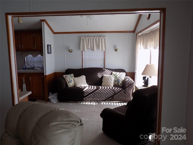 carpeted living room featuring sink and vaulted ceiling