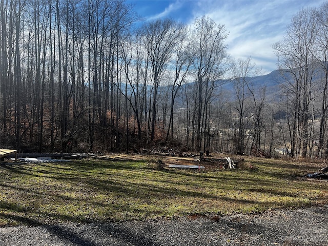 Address Not Disclosed, Sylva NC, 28779 land for sale