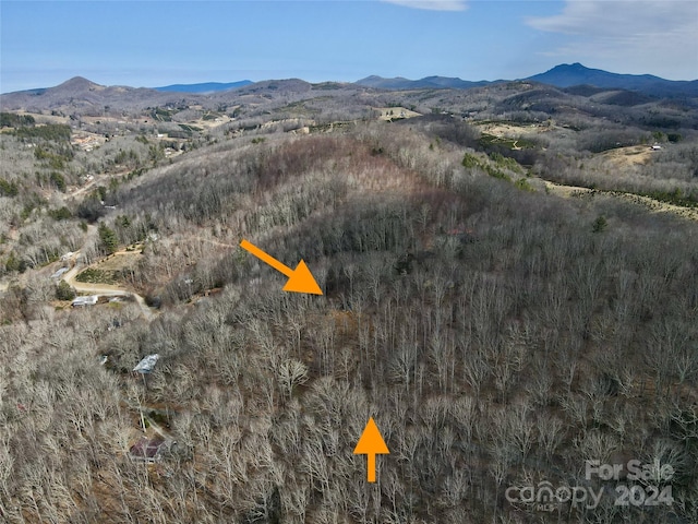 Listing photo 3 for TBD Old Chestnut Mountain Rd, Newland NC 28657