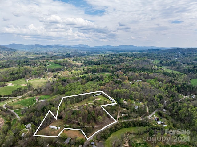 birds eye view of property featuring a mountain view