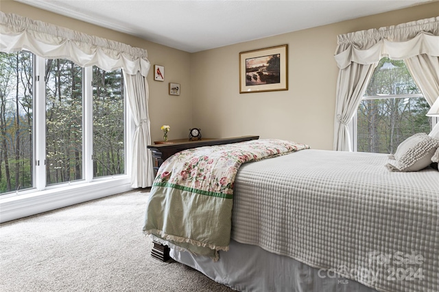 bedroom featuring carpet flooring