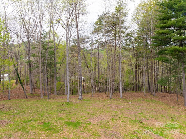 view of local wilderness