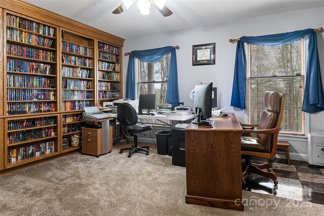 735 Macedonia Rd, Asheville, NC 28804 - photo 15