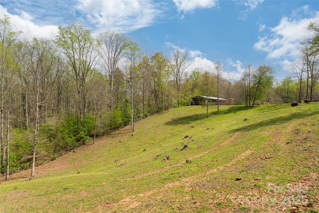 735 Macedonia Rd, Asheville, NC 28804 - photo 38