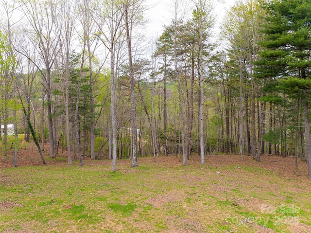 735 Macedonia Rd, Asheville, NC 28804 - photo 41