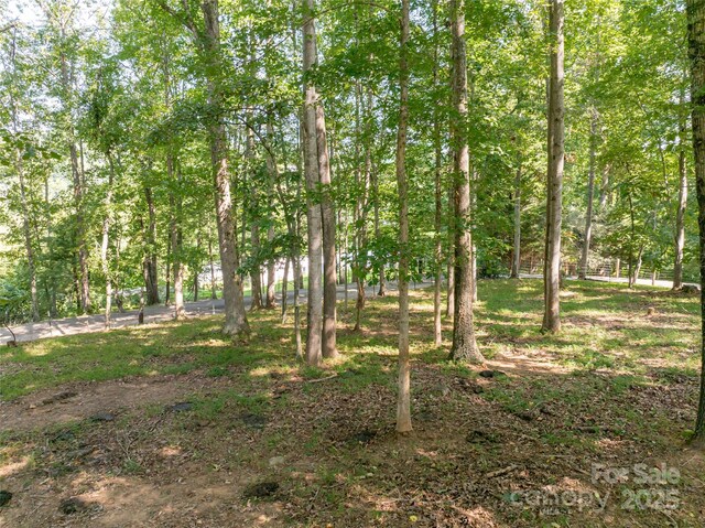 735 Macedonia Rd, Asheville, NC 28804 - photo 44