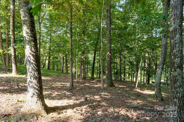 735 Macedonia Rd, Asheville, NC 28804 - photo 42