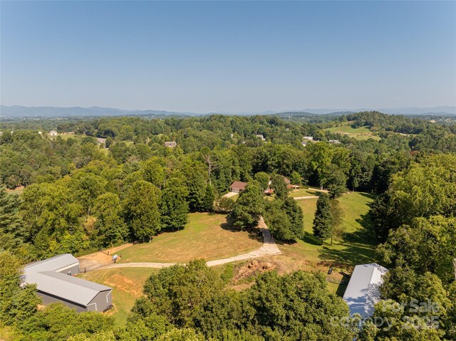 735 Macedonia Rd, Asheville, NC 28804 - photo 46
