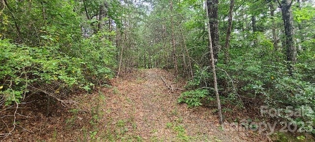 000 Wild Turkey Rd, Ferguson NC, 28624 land for sale