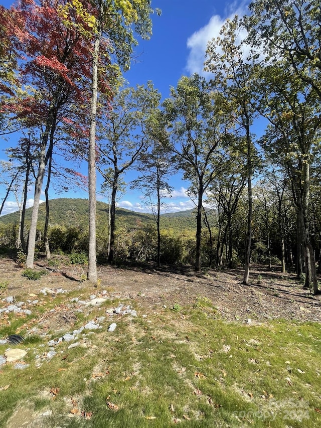 0000 E Garden Trl Lot 45, Hendersonville NC, 28792 land for sale