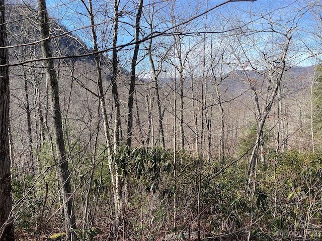 LT73 Pilot Knob Rd, Glenville NC, 28736 land for sale