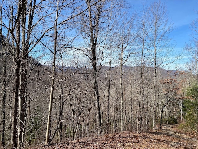 Listing photo 3 for LT73 Pilot Knob Rd, Glenville NC 28736