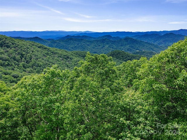 LOT17 Old Growth Forest Rd, Burnsville NC, 28714 land for sale