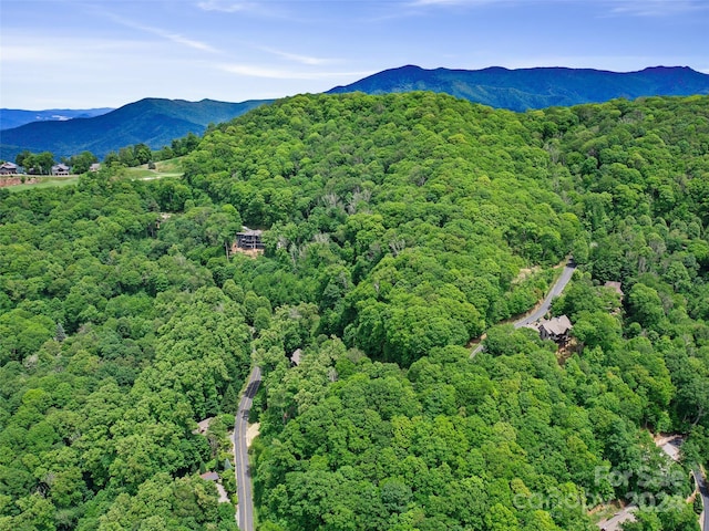 Listing photo 3 for LOT17 Old Growth Forest Rd, Burnsville NC 28714