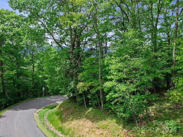 LOT17 Old Growth Forest Rd, Burnsville, NC 28714 - photo 4