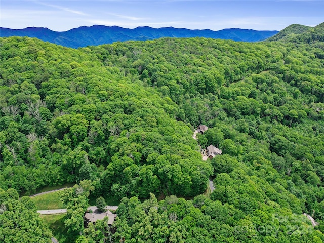 LOT17 Old Growth Forest Rd, Burnsville, NC 28714 - photo 5