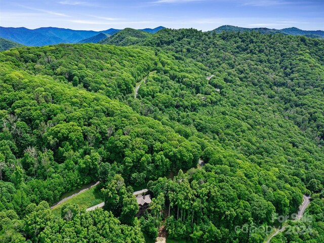 LOT17 Old Growth Forest Rd, Burnsville, NC 28714 - photo 6