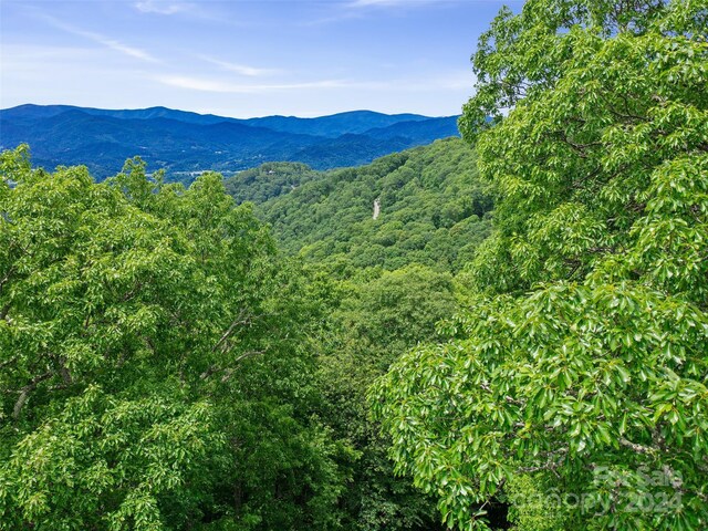 LOT17 Old Growth Forest Rd, Burnsville, NC 28714 - photo 7