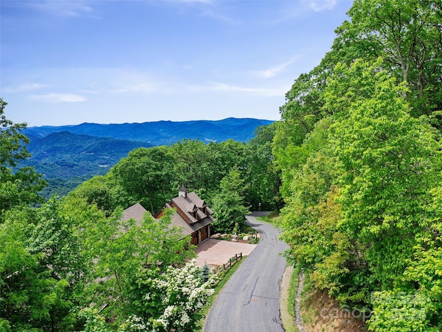 LOT17 Old Growth Forest Rd, Burnsville, NC 28714 - photo 8