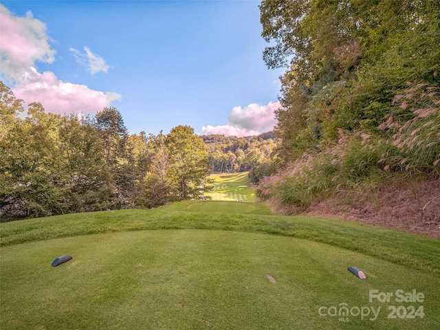 LOT17 Old Growth Forest Rd, Burnsville, NC 28714 - photo 14