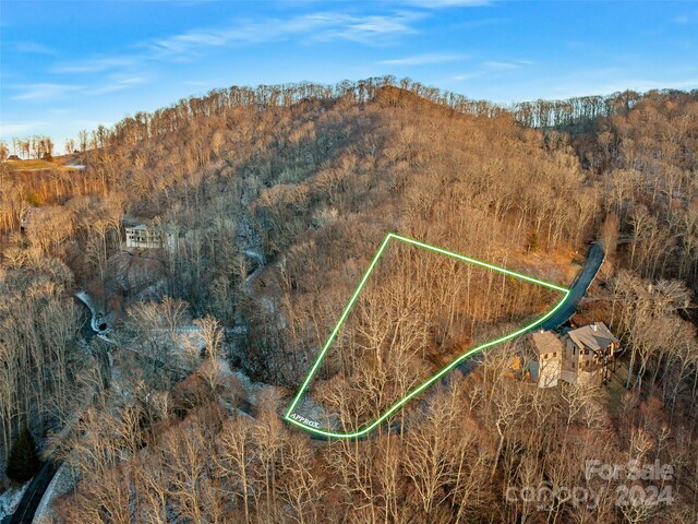 LOT17 Old Growth Forest Rd, Burnsville, NC 28714 - photo 16