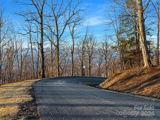 LOT17 Old Growth Forest Rd, Burnsville, NC 28714 - photo 17