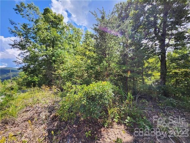 53 Autumn View Dr, Hendersonville NC, 28792 land for sale