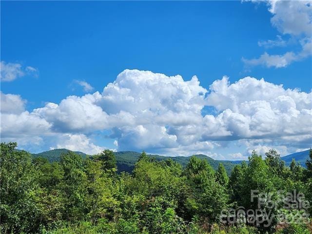 Listing photo 2 for 53 Autumn View Dr, Hendersonville NC 28792