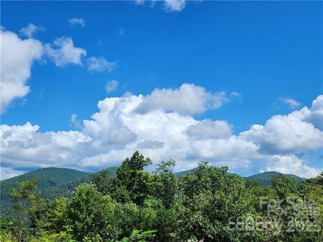 Listing photo 3 for 53 Autumn View Dr, Hendersonville NC 28792