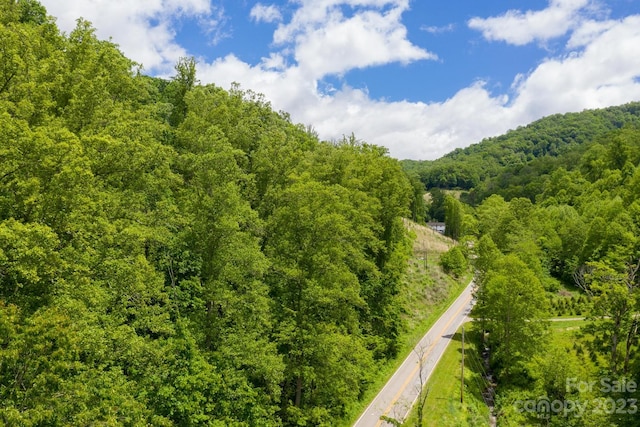 999 Metcalf Creek Loop, Mars Hill NC, 28754 land for sale