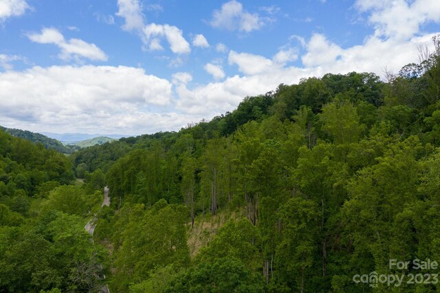 Listing photo 3 for 999 Metcalf Creek Loop, Mars Hill NC 28754