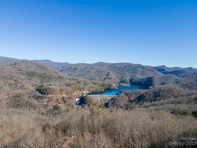 1211 Lake Forest Dr Unit 48, Tuckasegee NC, 28783 land for sale