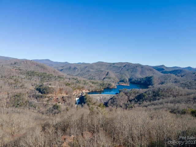 1211 Lake Forest Dr Unit 48, Tuckasegee, NC 28783 - photo 1