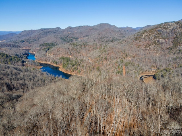 1211 Lake Forest Dr Unit 48, Tuckasegee, NC 28783 - photo 2