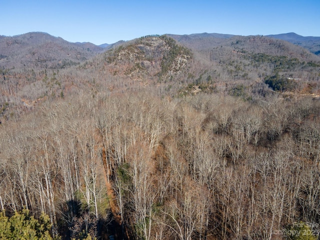 1211 Lake Forest Dr Unit 48, Tuckasegee, NC 28783 - photo 7