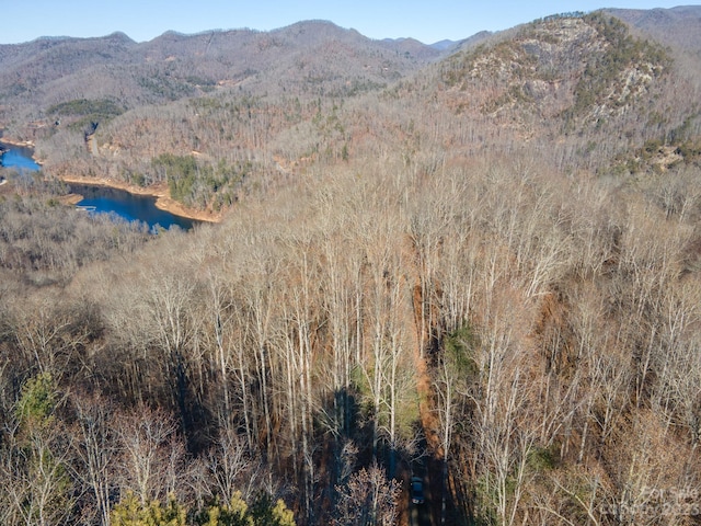 1211 Lake Forest Dr Unit 48, Tuckasegee, NC 28783 - photo 8