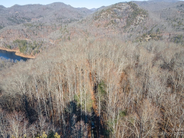 1211 Lake Forest Dr Unit 48, Tuckasegee, NC 28783 - photo 9