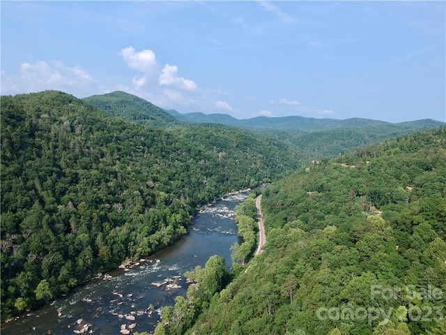 677 White Water Way Unit 30, Marshall, NC 28753 - photo 7