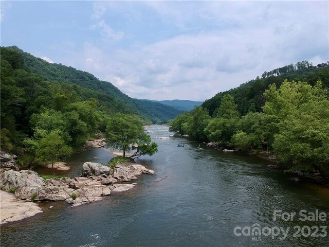 677 White Water Way Unit 30, Marshall, NC 28753 - photo 10