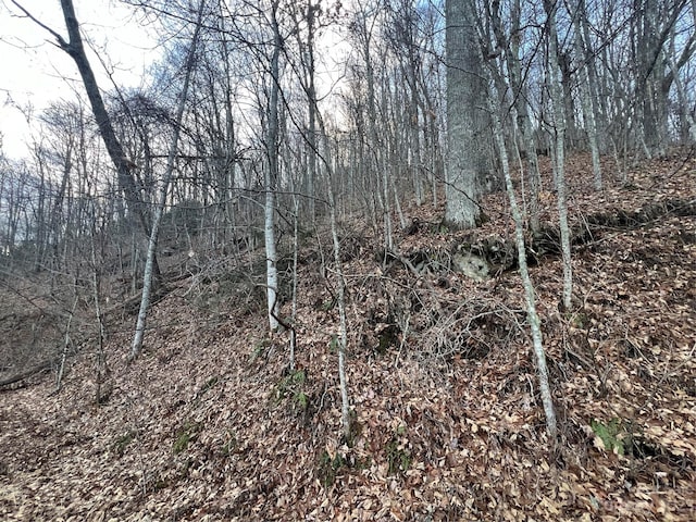 LOT9 Buck Mountain Rd Unit 9, Maggie Valley NC, 28751 land for sale