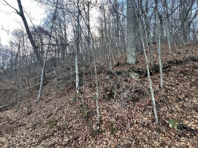 LOT9 Buck Mountain Rd Unit 9, Maggie Valley, NC 28751