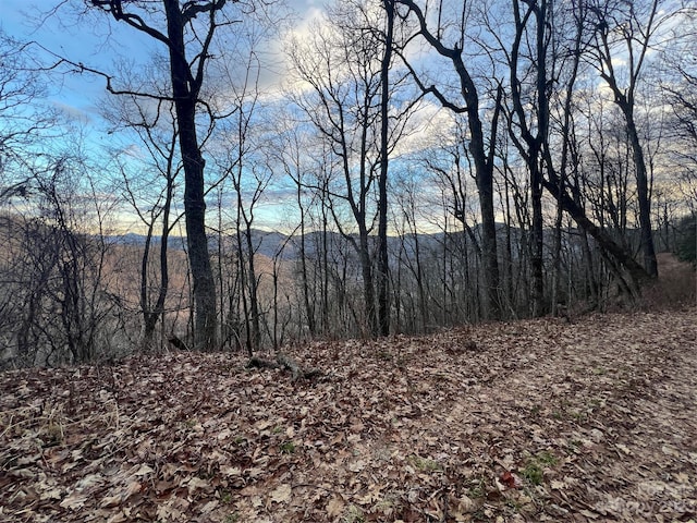 Listing photo 2 for LOT9 Buck Mountain Rd Unit 9, Maggie Valley NC 28751