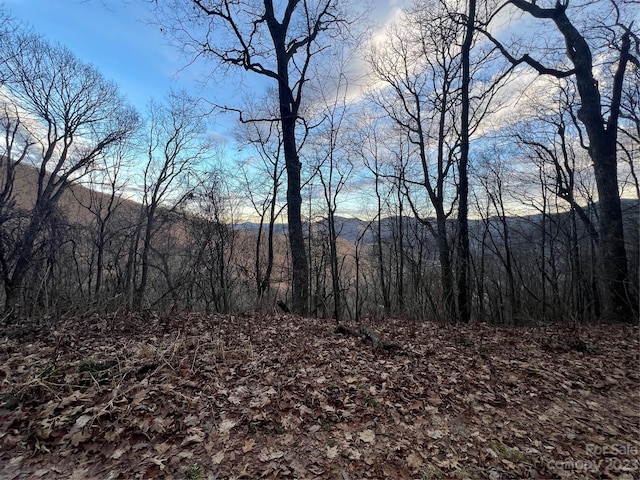 Listing photo 3 for LOT9 Buck Mountain Rd Unit 9, Maggie Valley NC 28751