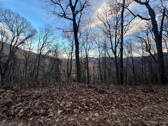 LOT9 Buck Mountain Rd Unit 9, Maggie Valley, NC 28751