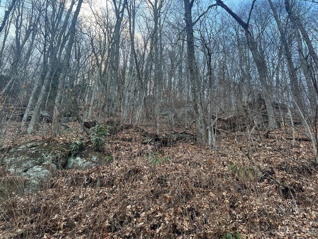 LOT9 Buck Mountain Rd Unit 9, Maggie Valley, NC 28751