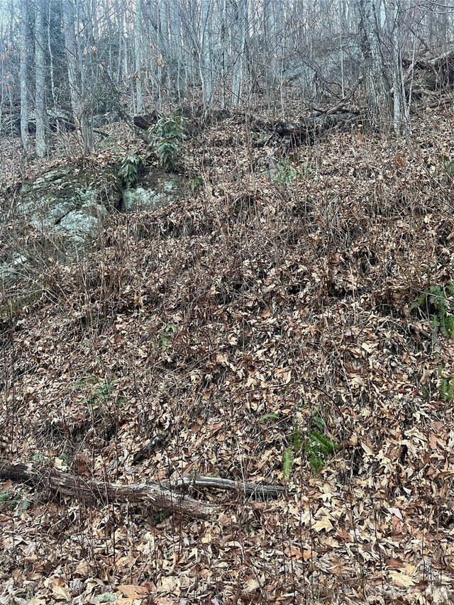 LOT9 Buck Mountain Rd Unit 9, Maggie Valley, NC 28751